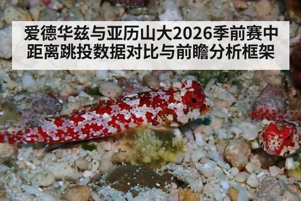 爱德华兹与亚历山大2026季前赛中距离跳投数据对比与前瞻分析框架